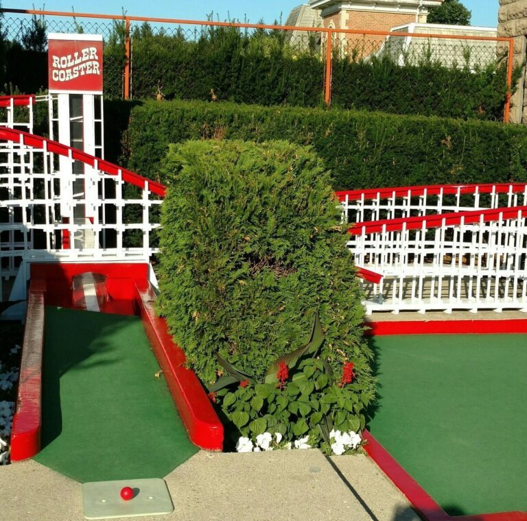 the rollercoaster 768x760