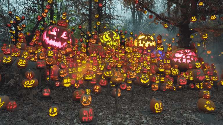 Minnesota Zoo Jack-O-Lantern Spectacular