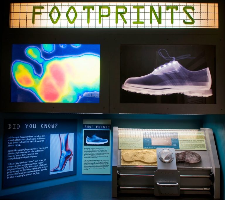 Screenshot 11 768x681