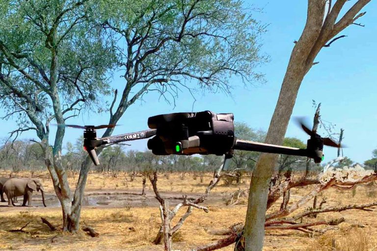 natureeye003 768x512